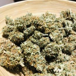 Royal Creamatic Automatic