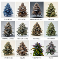 Variedades de Marihuana
