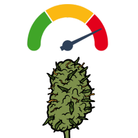 Variedades de marihuana más potentes