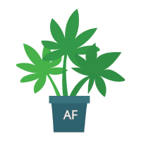 Semillas de Marihuana Autoflorecientes