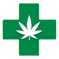 Semillas de Marihuana Medicinal | Variedades CBD