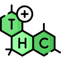 Semillas de Marihuana con Alto THC (+21%)
